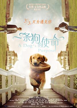 三级a级片